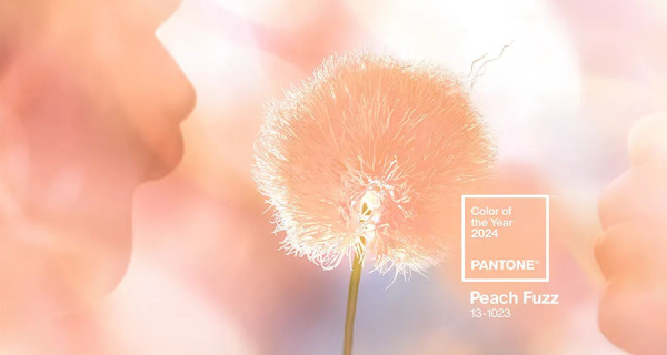 Pantone公布2024年度色彩：Pantone 13-1023 Peach Fuzz