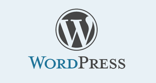 WordPress 如何绑定多域名，实现多站点访问？